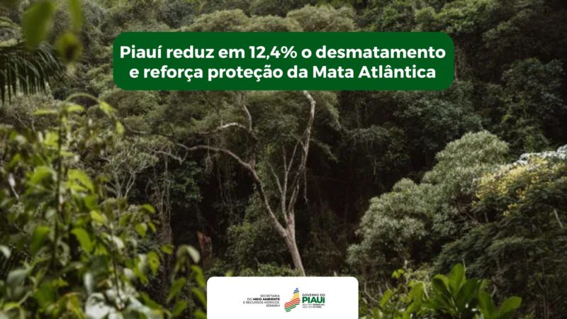 Piauí reduz em 12,4% o desmatamento e reforça proteção da Mata Atlântica
