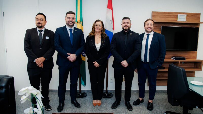 Vereadores têm reunião com a senadora Eudócia Caldas em Brasília