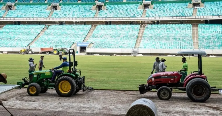 Fonte Nova conclui plantio do novo gramado; confira imagens