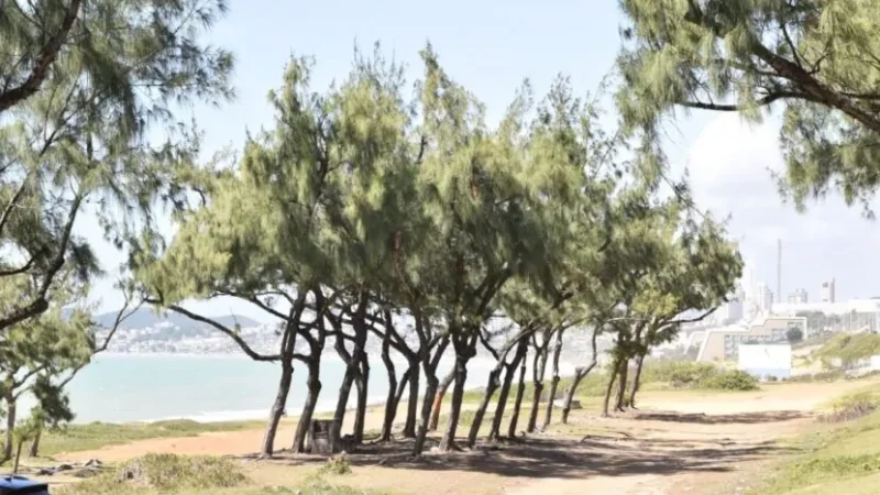 Governo do RN publica aviso de licitação para construção de parque urbano na Via Costeira