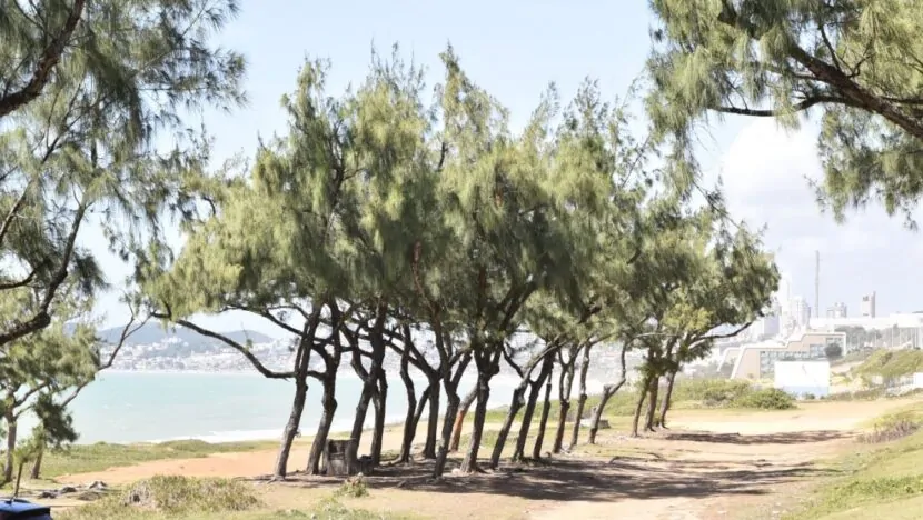 Governo do RN publica aviso de licitação para construção de parque urbano na Via Costeira