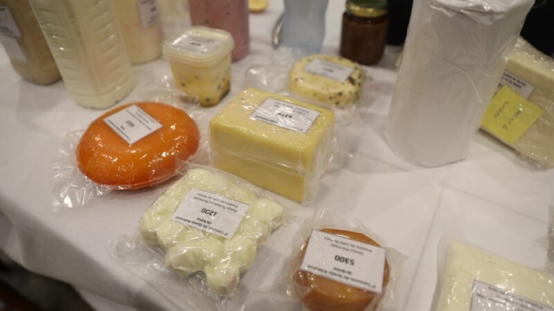 Bahia realiza 1º Concurso e 2º Festival do Queijo Artesanal em Salvador