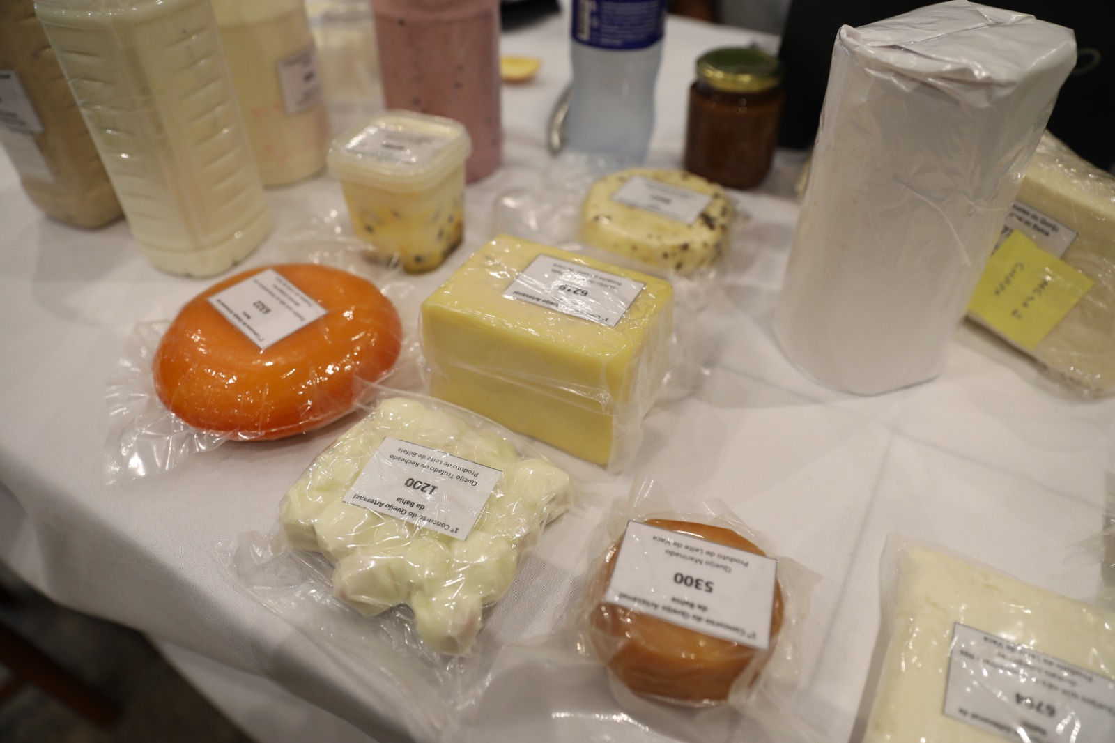 Bahia realiza 1º Concurso e 2º Festival do Queijo Artesanal em Salvador