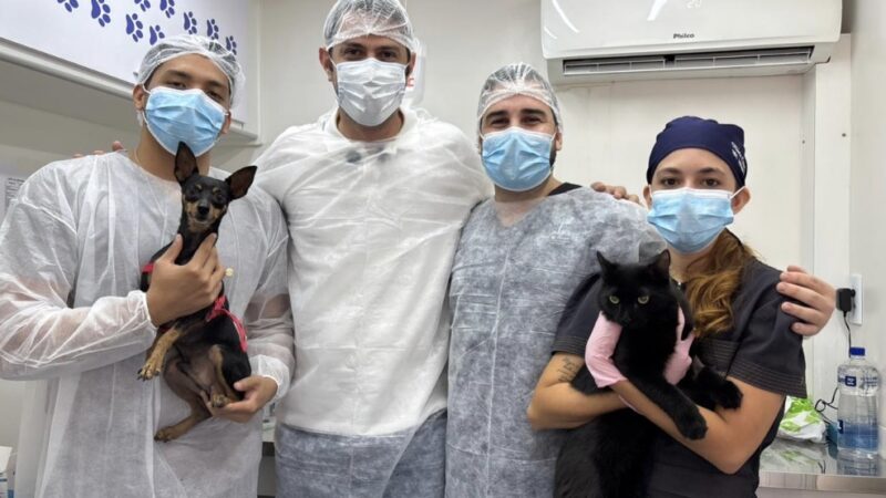 Semarh ultrapassa marca de 500 castrações realizadas no Castramóvel