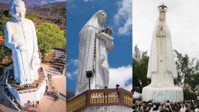 Ceará tem pelo menos oito ‘santos gigantes’ de até 54 metros de altura; conheça