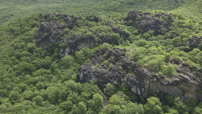 Governo do Estado cria cinco novas unidades de conservação na Caatinga cearense