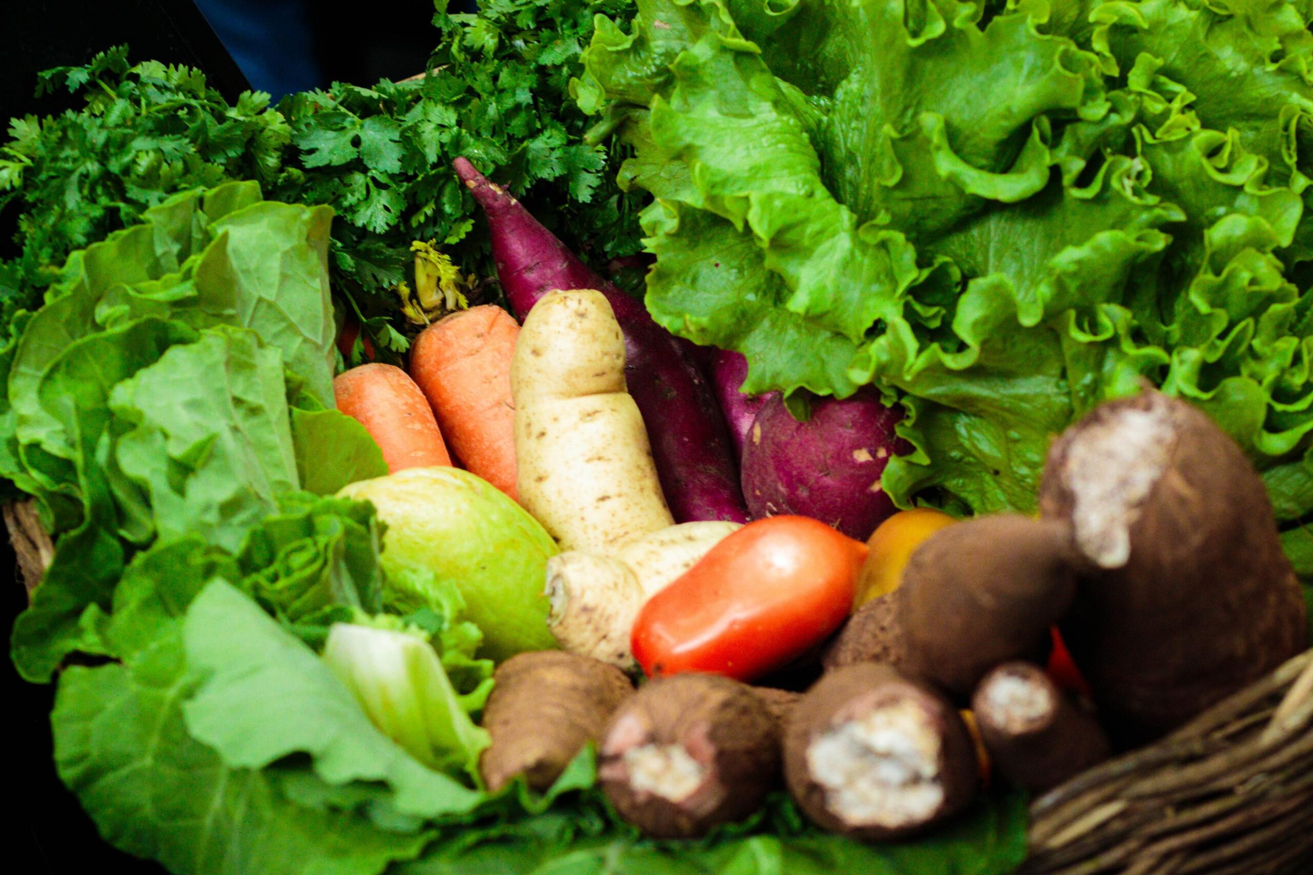 Governo envia pacote de justiça fiscal à ALE; proposta zera imposto de alimentos da cesta básica e protege receitas do Estado