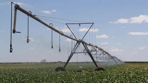 Planos, metas, sonhos e desafios do agro do Ceará