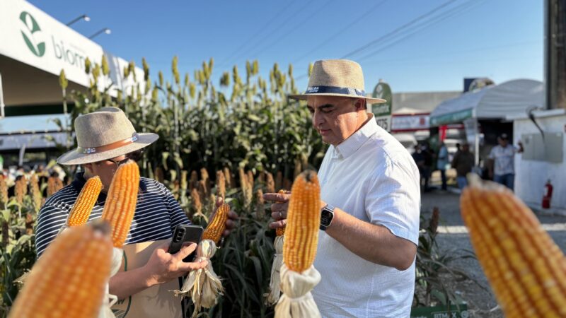 Alagoas marca presença no Sealba Show 2026 em Sergipe