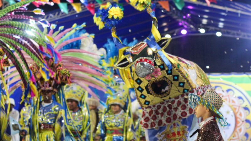 Governo do Piauí lança nove editais da PNAB e cinco do SIEC em solenidade no Palácio de Karnak nesta quarta (11)