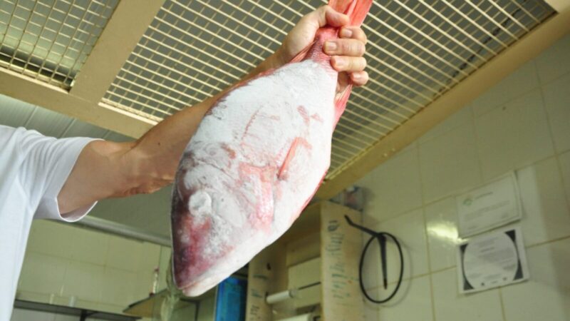 Mercados públicos de Mossoró têm peixe a R$ 10 até sexta