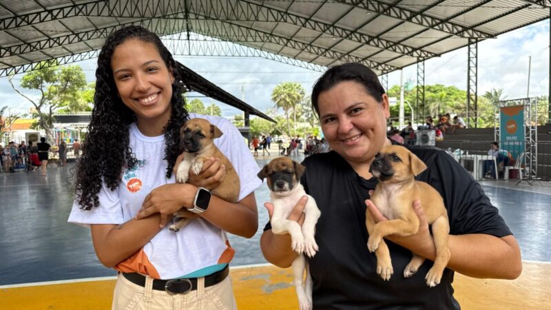 Semarh lança edital para entidades de acolhimento de animais vítimas de maus-tratos no Piauí