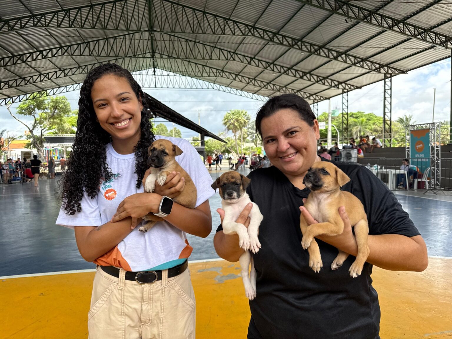 Semarh lança edital para entidades de acolhimento de animais vítimas de maus-tratos no Piauí