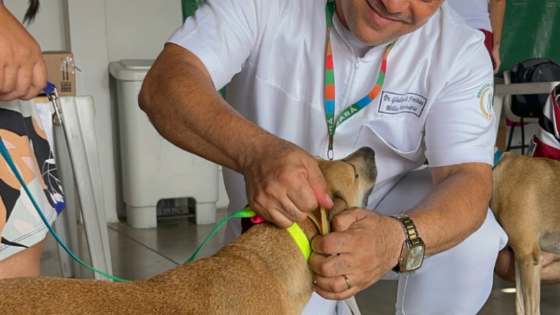 Giro Pet Ceará leva vacinação e encoleiramento antiparasitário para Juazeiro do Norte, Crato e Saboeiro nesta semana
