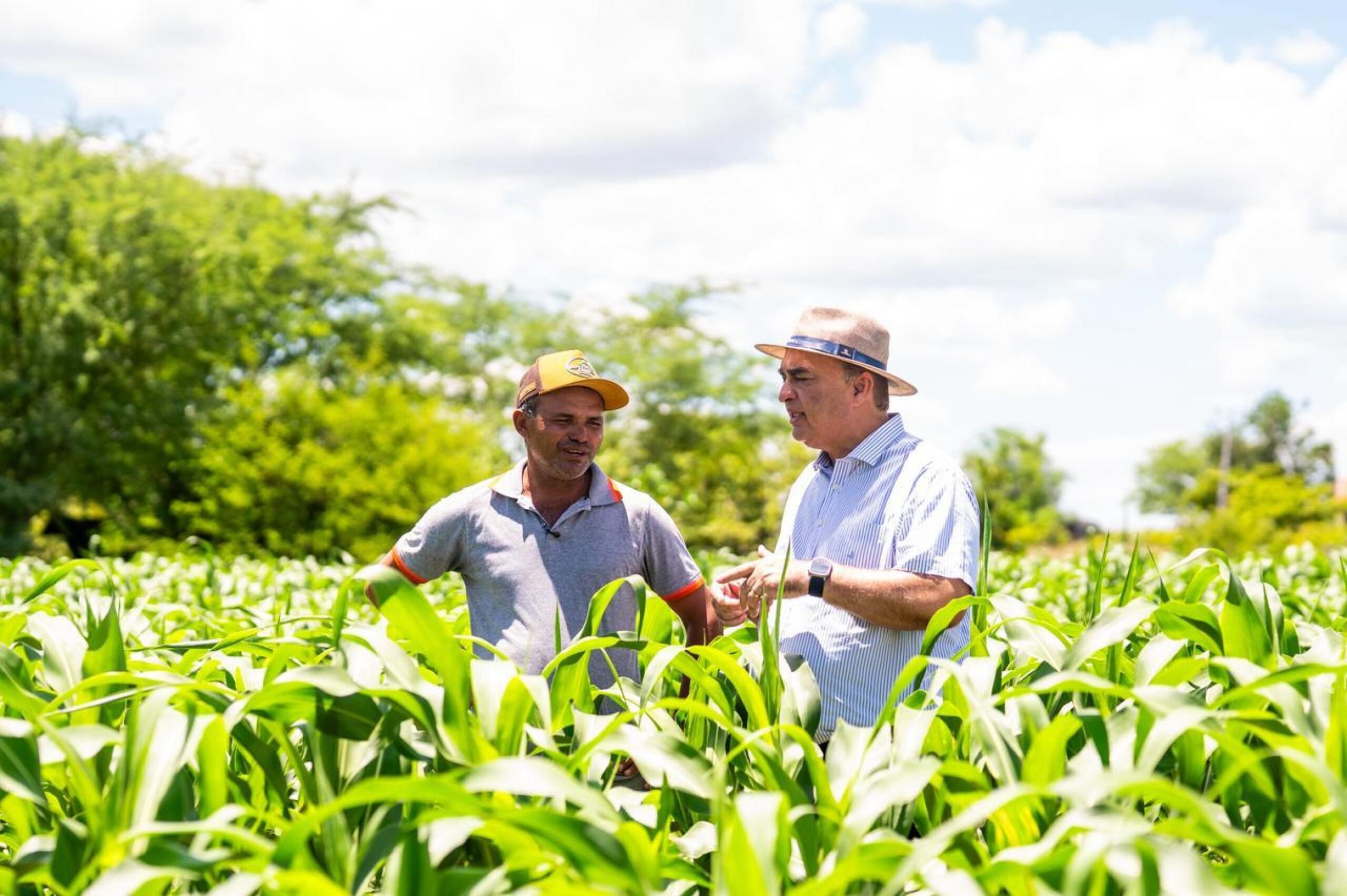 Secretaria de Agricultura prorroga pagamento das adesões ao Garantia-Safra 25/26