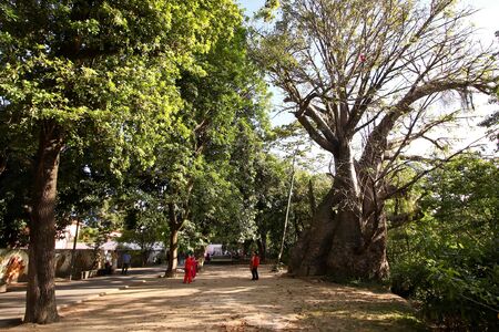 Parques urbanos: a estratégia de conectar o Recife pelo verde