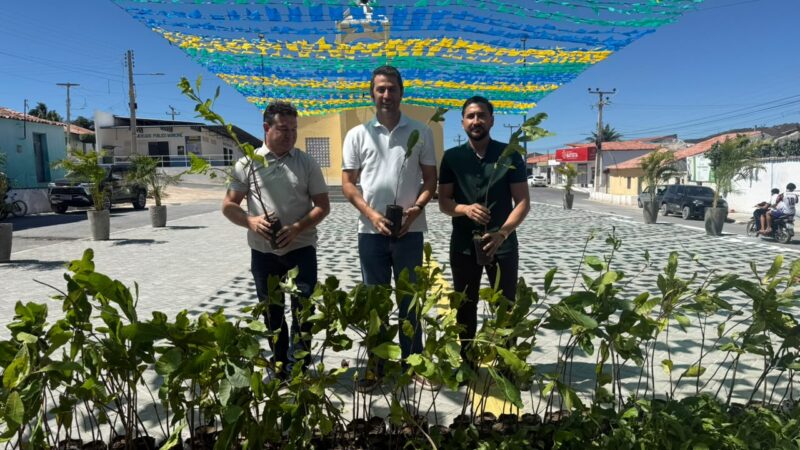 Secretária do Meio Ambiente distribui 9 mil mudas frutíferas e nativas em quatro municípios piauienses