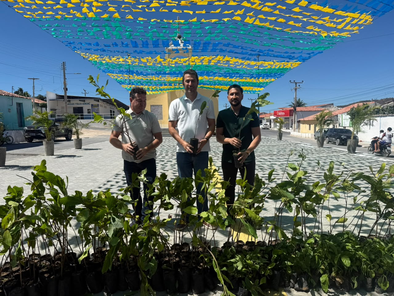 Secretária do Meio Ambiente distribui 9 mil mudas frutíferas e nativas em quatro municípios piauienses