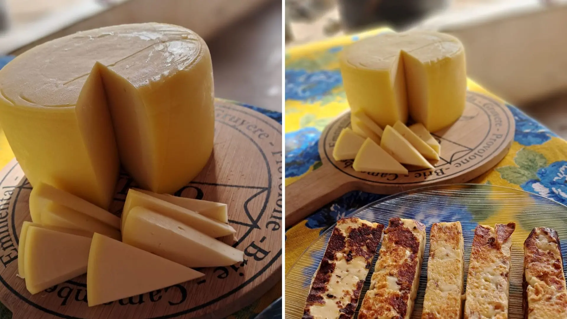 Queijo coalho de Morada Nova conquista título de melhor do Ceará em prêmio nacional