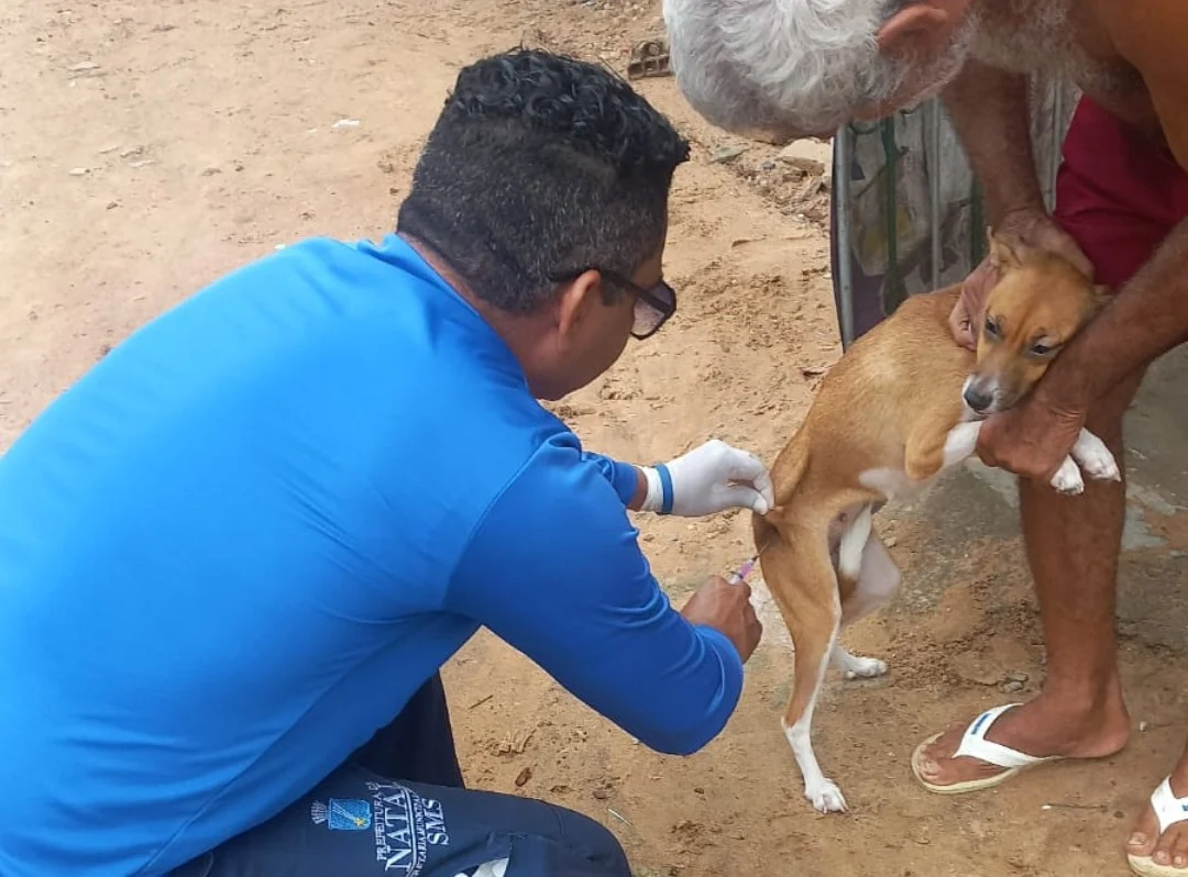Campanha antirrábica reforça vacinação anual de cães e gatos em Natal
