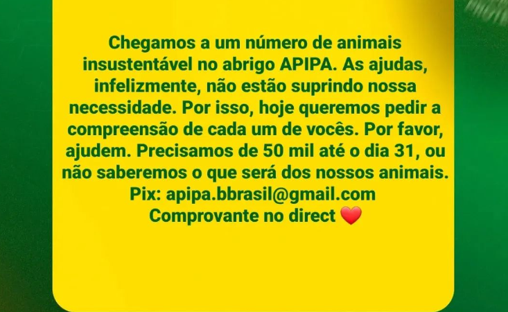 Com superlotação de animais, abrigo em Teresina faz apelo por doações