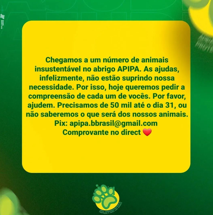 Com superlotação de animais, abrigo em Teresina faz apelo por doações