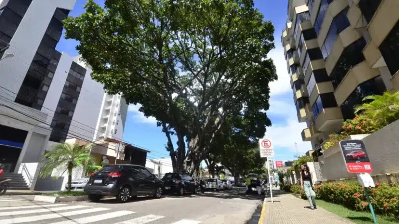 Botânico defende arborização maior em Natal, que tem 33% do território composto por árvores