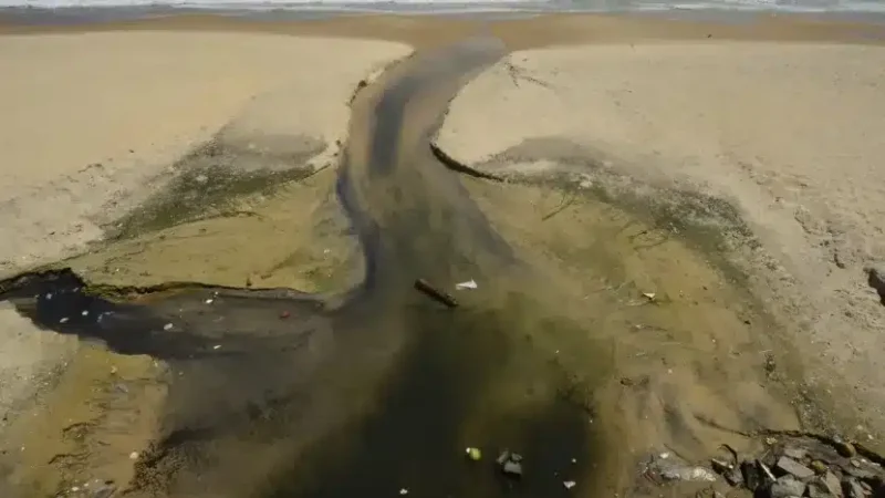 Língua Negra: Especialista alerta para futuros impactos ambientais em Areia Preta