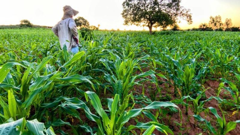 Governador encaminha à ALE projetos de lei que beneficiam a agricultura familiar no estado