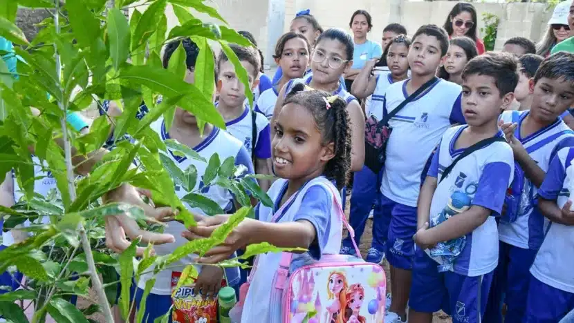 Semana do Meio Ambiente de Natal conta com vasta programação