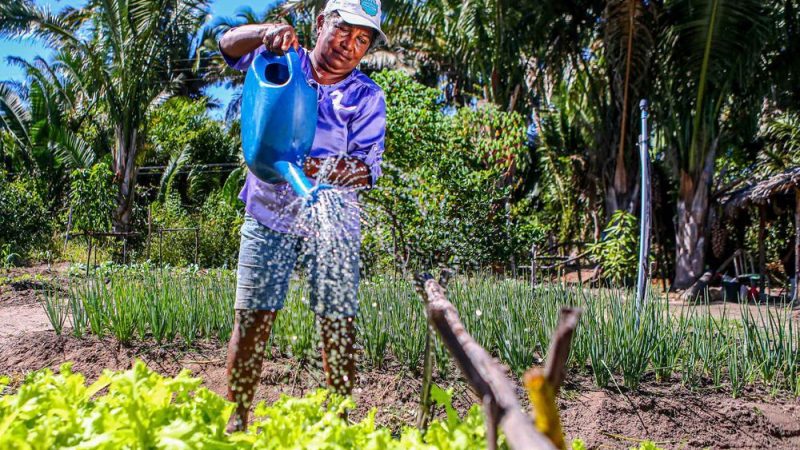 Governo do Piauí lança programas e anuncia recursos de quase R$ 100 milhões para agricultura familiar nesta quinta (25)