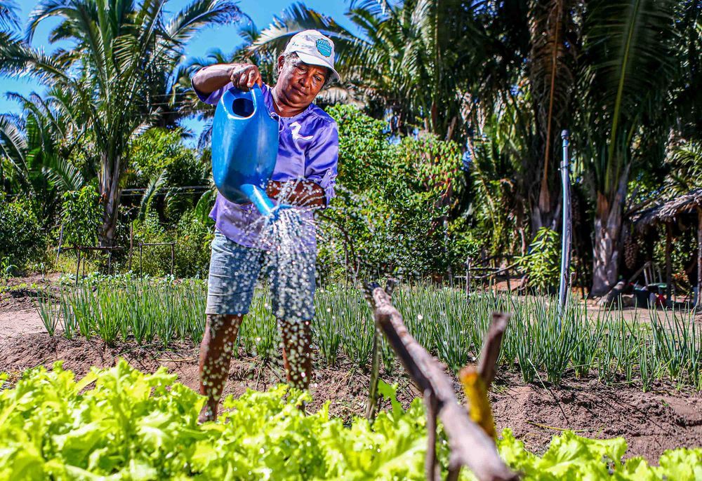 Governo do Piauí lança programas e anuncia recursos de quase R$ 100 milhões para agricultura familiar nesta quinta (25)