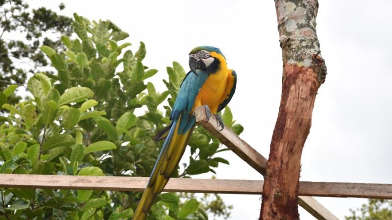 Parque Estadual das Sete Passagens sediará Dia de Campo da Caravana Bahia Sem Fogo neste sábado (3)