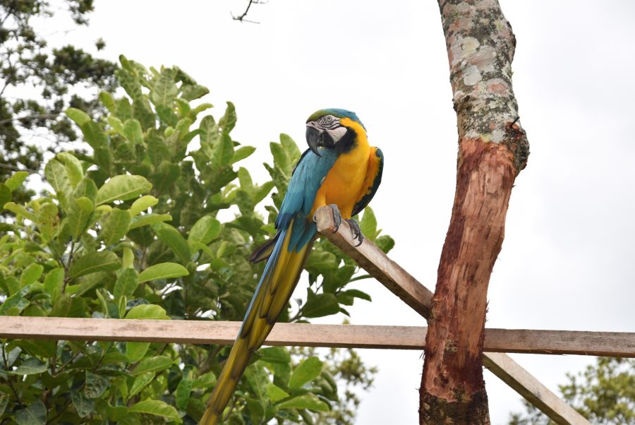 Parque Estadual das Sete Passagens sediará Dia de Campo da Caravana Bahia Sem Fogo neste sábado (3)