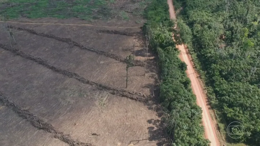 Maranhão perdeu 27% das áreas naturais em 39 anos, aponta MapBiomas