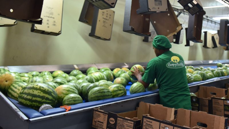 RN tem melhor saldo de empregos para meses de julho dos últimos cinco anos