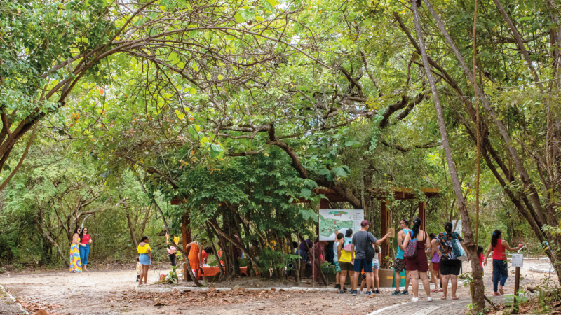 Parque Estadual Botânico do Ceará completa 28 anos de preservação ambiental