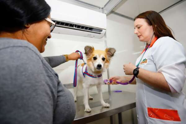 Pet Ceará Móvel chega ao RioMar Fortaleza