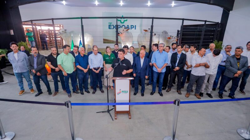 Expoapi 2024 deve gerar R$ 300 milhões em negócios e atrair 400 mil pessoas