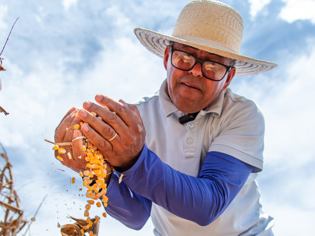 Programa Sementes do Futuro melhora produtividade e garante segurança alimentar aos agricultores sergipanos