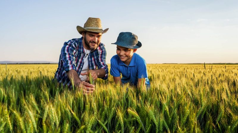 Unidade de Negócio Ademicon Alagoas participa da 74ª Expoagro