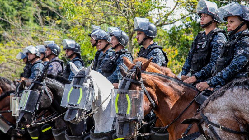 O descanso dos guerreiros: a história dos animais na PM do nascimento à aposentadoria