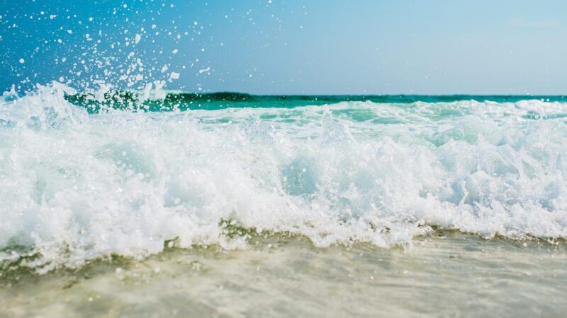 Litoral da Paraíba tem apenas quatro praias impróprias ao banho