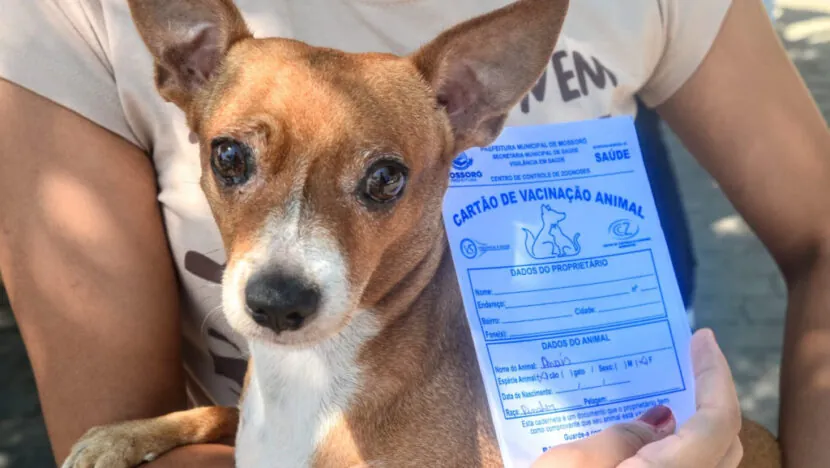 Parque Municipal de Mossoró receberá ação de saúde animal neste sábado 29