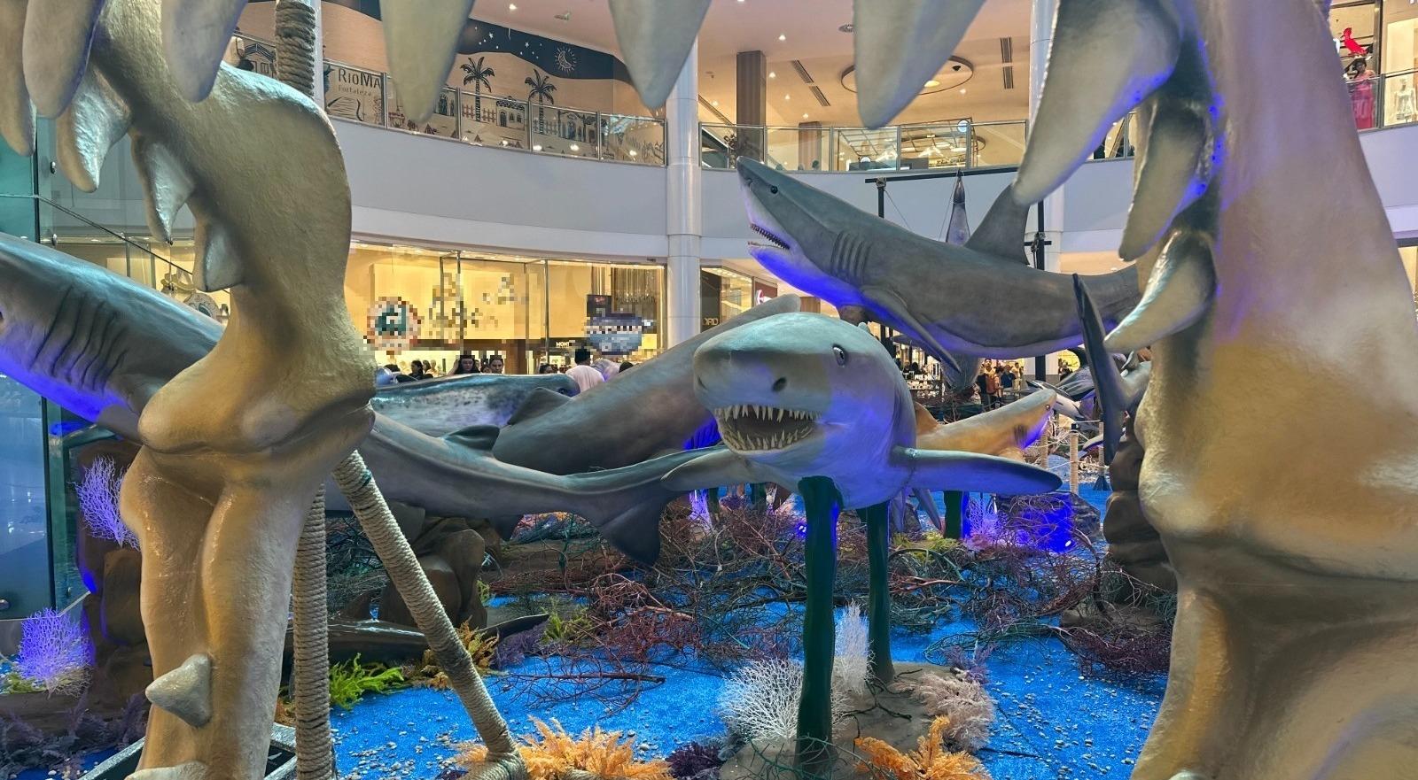 Gigantes do Mar’: RioMar Fortaleza inaugura exposição imersiva com réplicas de tubarões em tamanho real