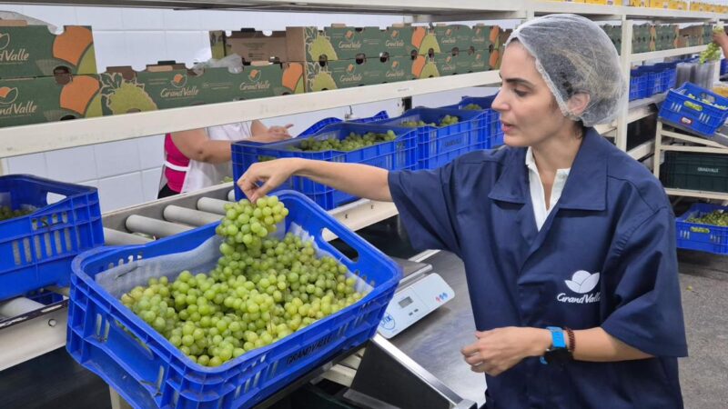 Novos investimentos e produtos inovadores impulsionam a economia no território Sertão do São Francisco