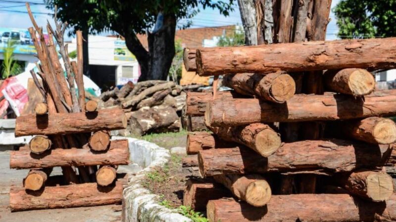 Comerciantes de fogueiras e fogos de artifício devem se cadastrar para atuar