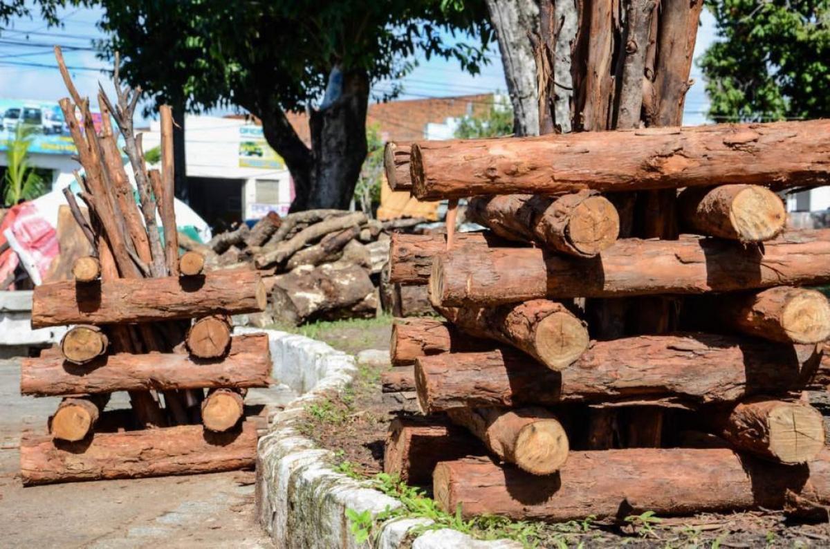 Comerciantes de fogueiras e fogos de artifício devem se cadastrar para atuar