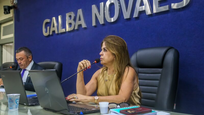 Reinserção no mercado de trabalho e segurança nos bairros são debatidas na Câmara