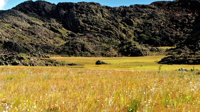 Chapada Diamantina sedia Semana da Mata Atlântica 2025 com ações em Mucugê e Lençóis